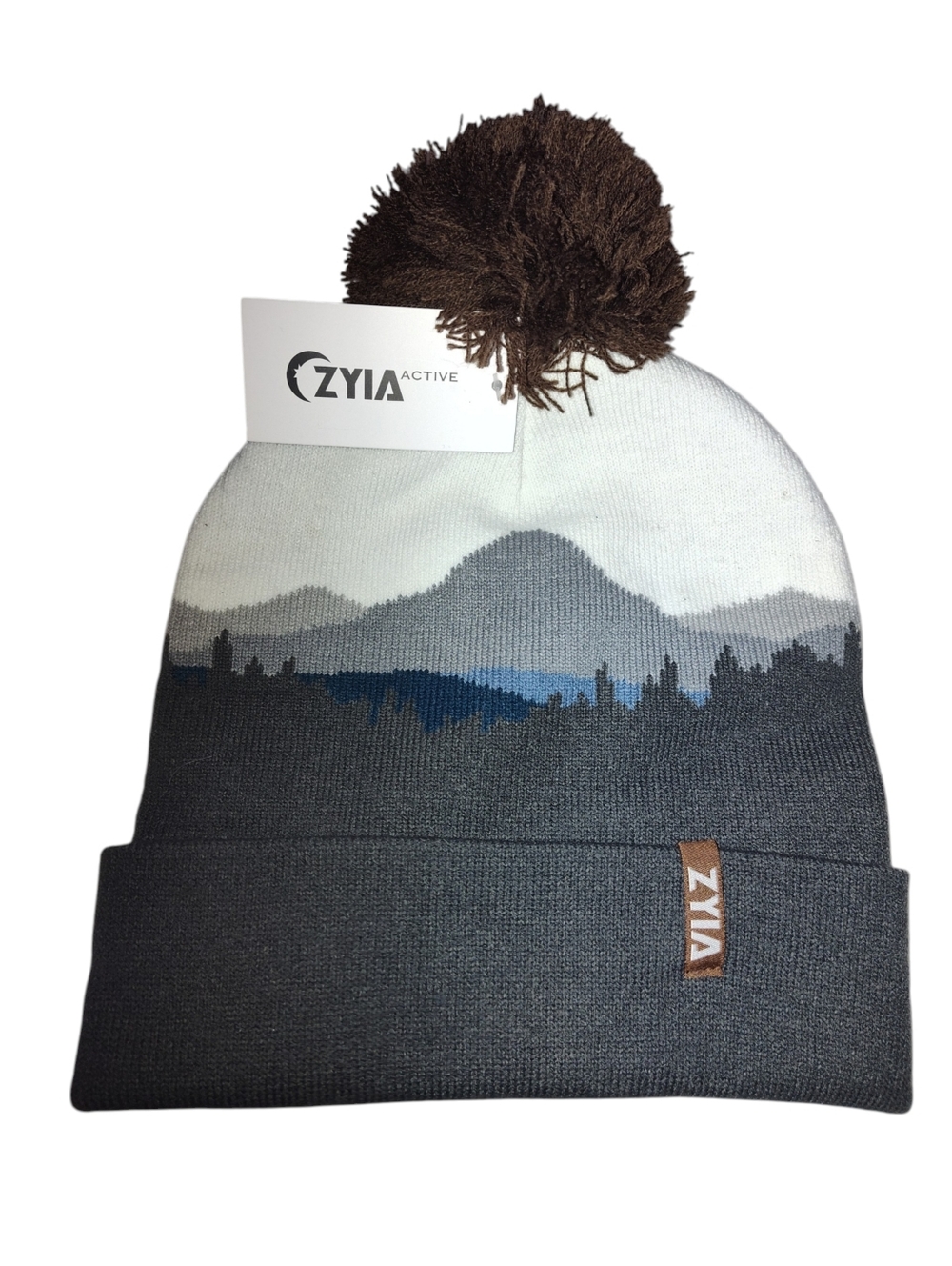 Zyia Active Beanie Womens One Size Fits All Gray Snowfall Summit Pom Pom Nwt